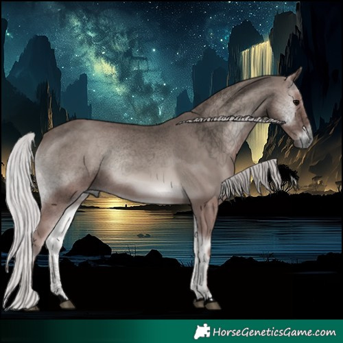 Horse Color:Void Platinum Silver Blue Onyx 