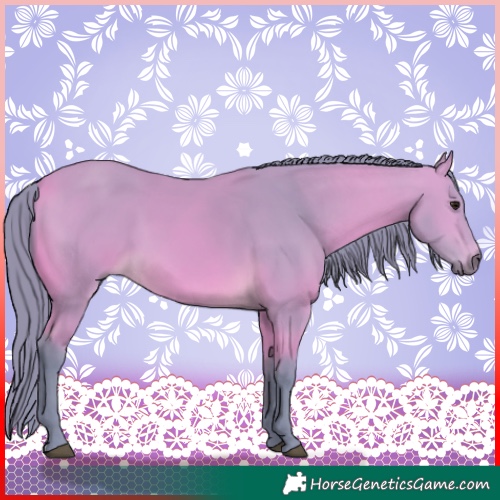 Horse Color:Watercolor Buckskin 