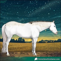 Horse Color:Watercolor Red Dun Roan Sabino Splash