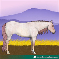 Horse Color:Watercolor Red Dun Roan