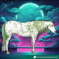 Horse Color:Watercolor Sable Champagne Sabino Appaloosa