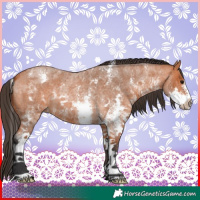 Horse Color:Bay Roan Sabino