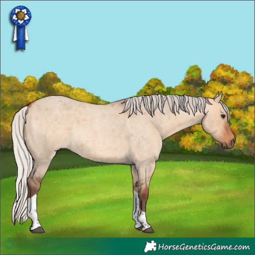 Horse Color:Silver Bay Roan Dun Tobiano 