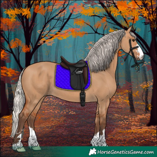 Horse Color:Silver Bay Dun 
