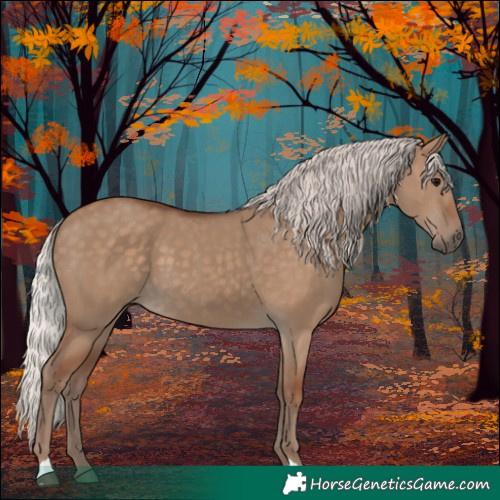 Horse Color:Silver Grullo 