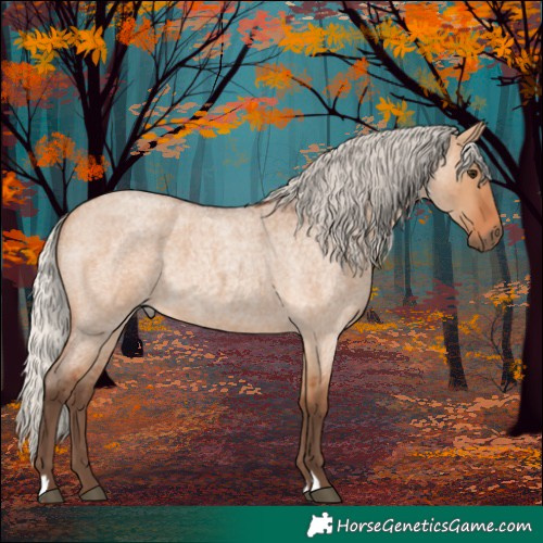 Horse Color:Silver Bay Roan Dun 