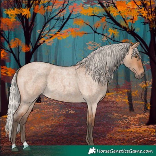 Horse Color:Silver Bay Roan Dun 