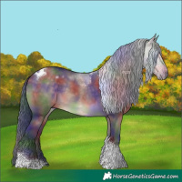 Horse Color:Nacre Brown Dun Tobiano 