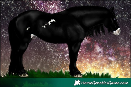 Horse Color:Liver Chestnut Chinchilla Ice Sabino Rabicano 