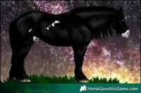 Horse Color:Liver Chestnut Chinchilla Ice Sabino Rabicano 