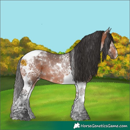 Horse Color:Bay Tobiano 