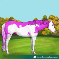 Horse Color:Watercolor Liver Chestnut Splash Frame