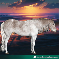 Horse Color:White Spotted Silver Black 