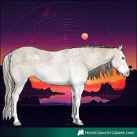 Horse Color:White Spotted Classic Cream Champagne Splash Rabicano