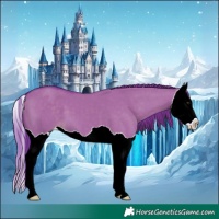 Horse Color:Watercolor Liver Red Dun Splash
