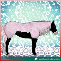 Horse Color:Watercolor Plaid  Chocolate Palomino Ice Dun Splash 