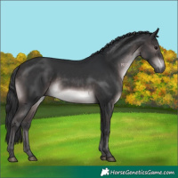 Horse Color:Platinum Brown