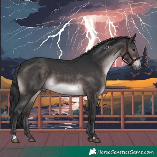 Horse Color:Platinum Brown