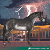 Horse Color:Platinum Brown