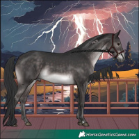 Horse Color:Platinum Brown