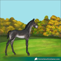 Horse Color:Platinum Brown 