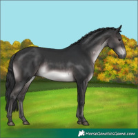 Horse Color:Platinum Brown 