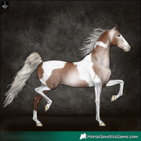 Horse Color:Gray Silver Black Pearl Tobiano 
