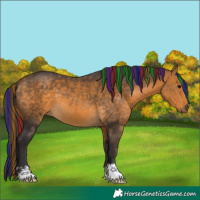 Horse Color:Painted Buckskin