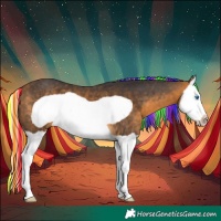 Horse Color:Painted Silver Buckskin Splash Frame