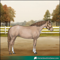 Horse Color:Black Pearl Sabino 