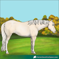 Horse Color:Palomino Pearl