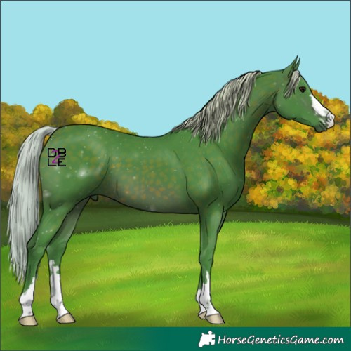 Horse Color:Watercolor Silver Brown 