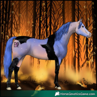 Horse Color:Void Watercolor Buckskin Tobiano 