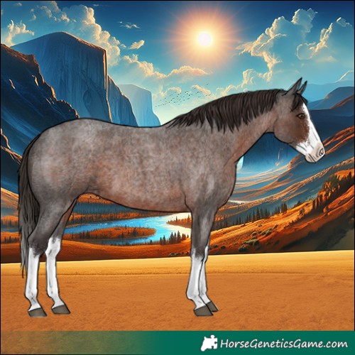 Horse Color:Liver Red Roan Splash 