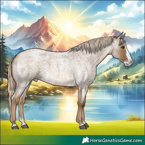 Horse Color:Chocolate Palomino Roan Splash 