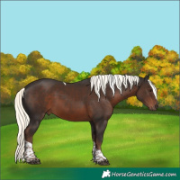 Horse Color:White Spotted Liver Chestnut Mushroom Tobiano 
