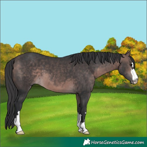 Horse Color:Platinum Bay 
