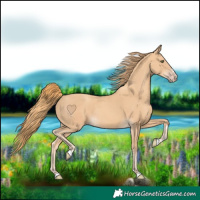 Horse Color:Gold Champagne Rabicano 
