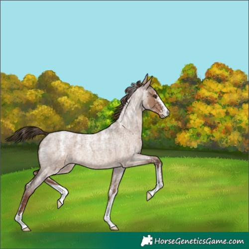 Horse Color:Powder White Liver Red Dun Roan 
