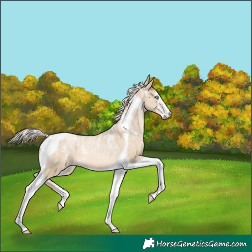 Horse Color:Powder White Chocolate Palomino Pearl Dun Tobiano 