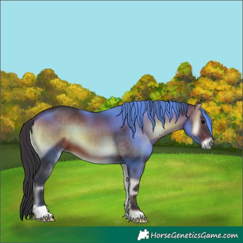 Horse Color:Brown Onyx 