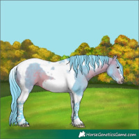 Horse Color:Watercolor Bay Tobiano Frame 