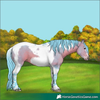 Horse Color:Watercolor Bay Tobiano Frame 