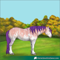 Horse Color:Watercolor Bay Onyx Sabino