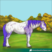 Horse Color:Watercolor White Spotted Bay Onyx Tobiano Near Leopard 