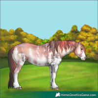 Horse Color:Brown Onyx Sabino 