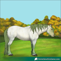 Horse Color:Watercolor Brown Roan Pearl Rabicano 
