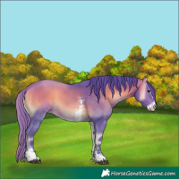 Horse Color:Watercolor Bay Onyx Sabino 