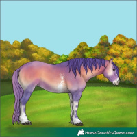 Horse Color:Watercolor Bay Onyx Sabino 