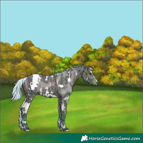 Horse Color:Watercolor White Spotted Silver Brown Ice Dun 